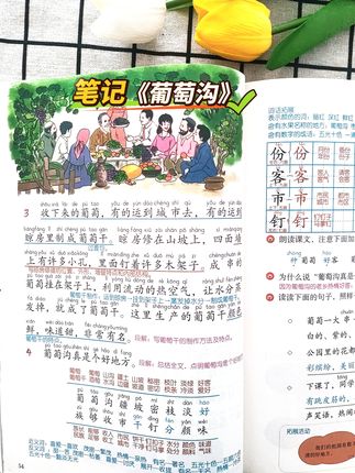 #课堂笔记 9.8暑假预习学霸笔记,字迹清晰工整,既可做课本用又可做笔记用。最主要彩图清晰质感,跟课本原文几乎不差。