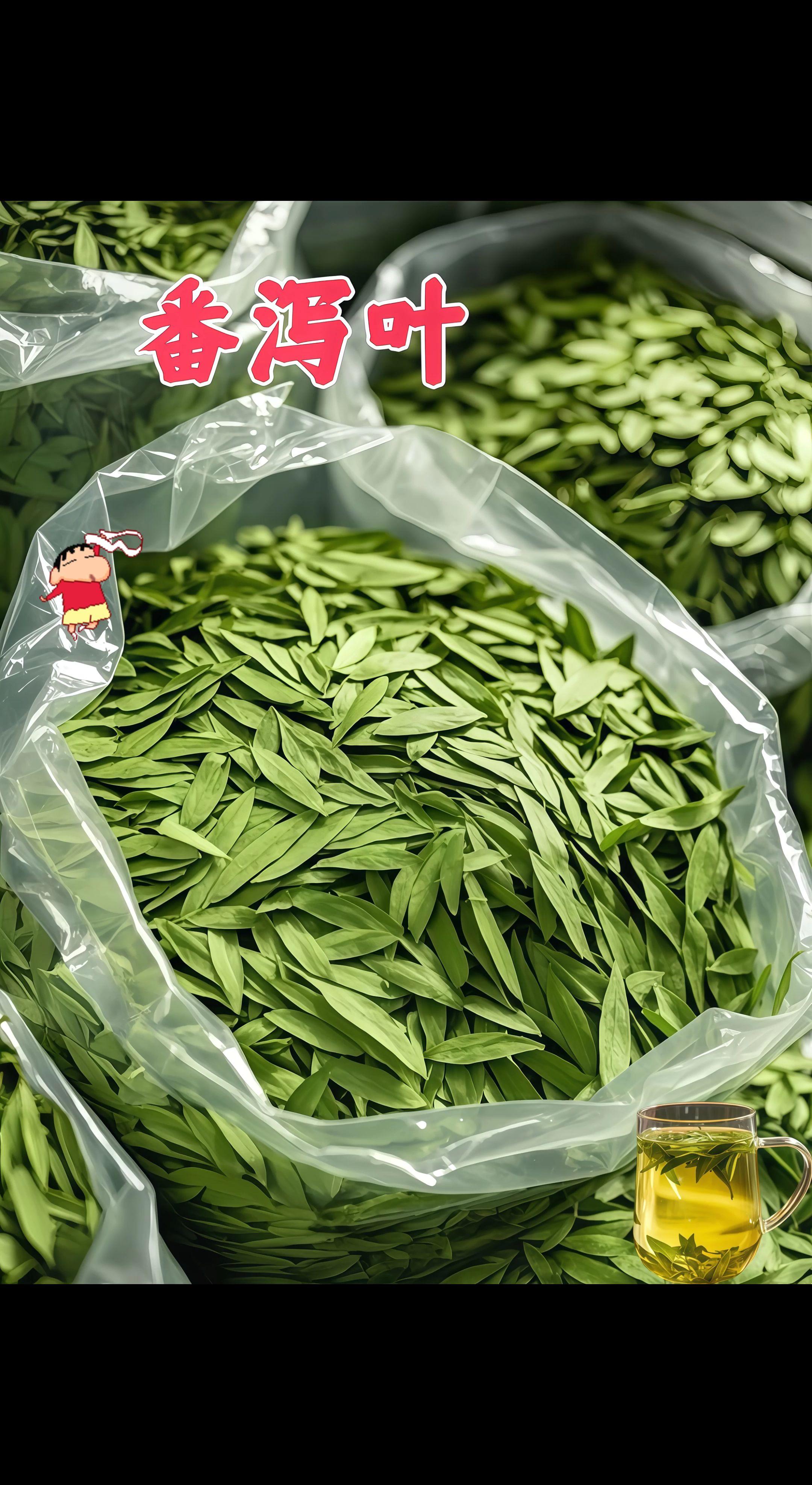 #每日一茶