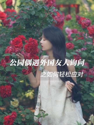 粒粒酱的旅行日记