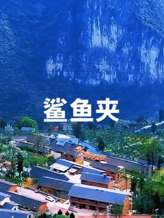 2025新款洋气高级感发夹发卡夹子后脑勺鲨鱼夹抓夹头饰仙女款发饰#鲨鱼夹 #发夹 #发卡 #鲨鱼夹抓夹 #抓夹