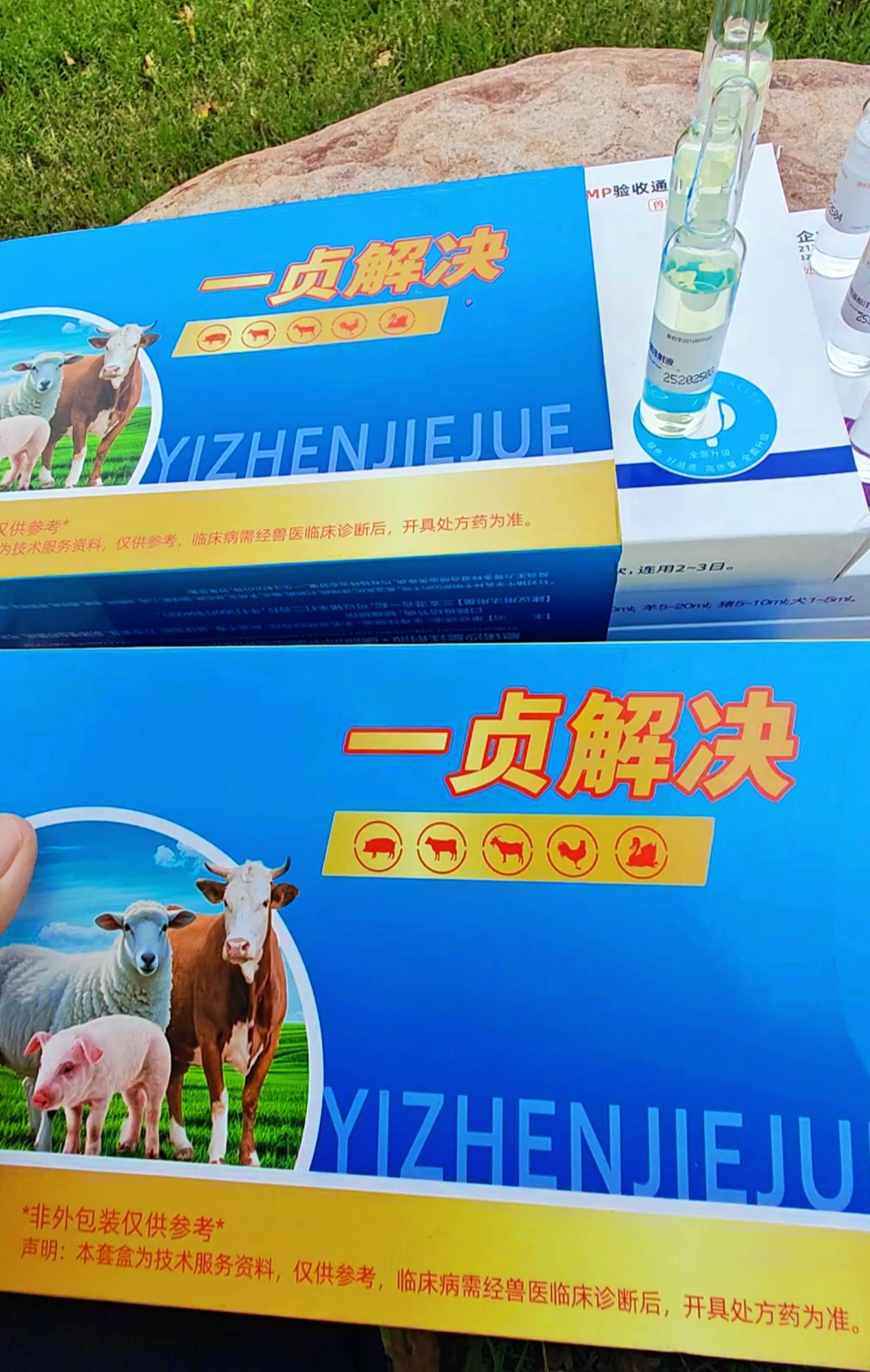 #养羊人#养牛人#养猪人#自繁自养#养殖