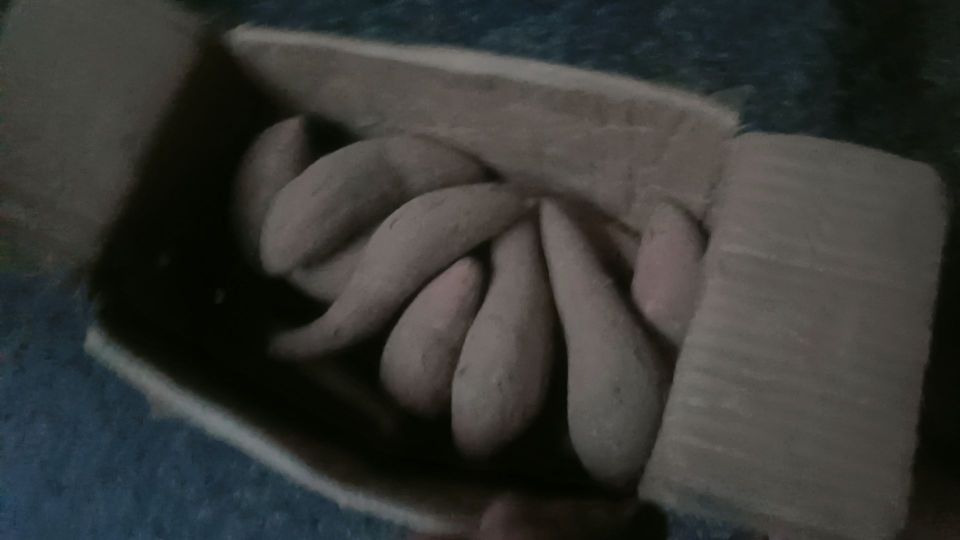 很好新鲜高品分量多 #我在抖音买买买
