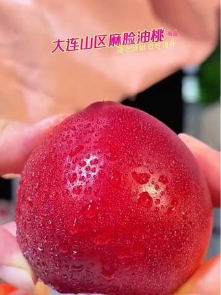 大连山区种植的麻脸油桃来啦 !!都是现摘现发 产地直发 刚收到脆甜多汁,喜欢软的可以多放两天,一口爆汁,软糯香甜#麻脸油桃 #油桃 #黄心油桃 #脆桃党软桃党 #优质农产品