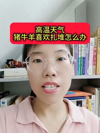 #养殖小妙招 #养羊人#农村养羊#养羊创业#自繁自养