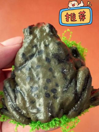 癞蛤蟆捏捏#手工#创意