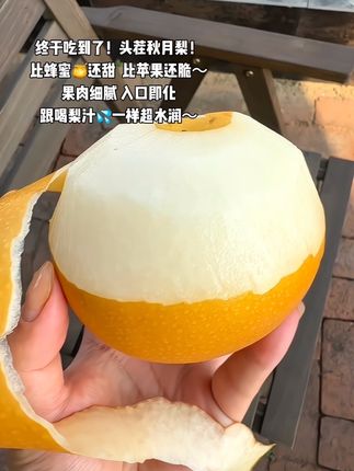 终于吃到了!比脸还大的头茬秋月梨!比蜂蜜🍯还甜,比苹果还脆!一口下去,喉咙就像注入了一汪甜甜的蜜水💧,超水润超过瘾😋!#秋月梨 #新鲜采摘 #立秋开吃啦#你的秋日美食正在派送中 #三伏天养生指南
