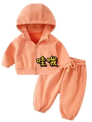 婴幼儿卫衣套装宝宝休闲套装#宝宝好物推荐 #套装#婴幼儿服饰 #小童穿搭 #休闲套装#卫衣穿搭