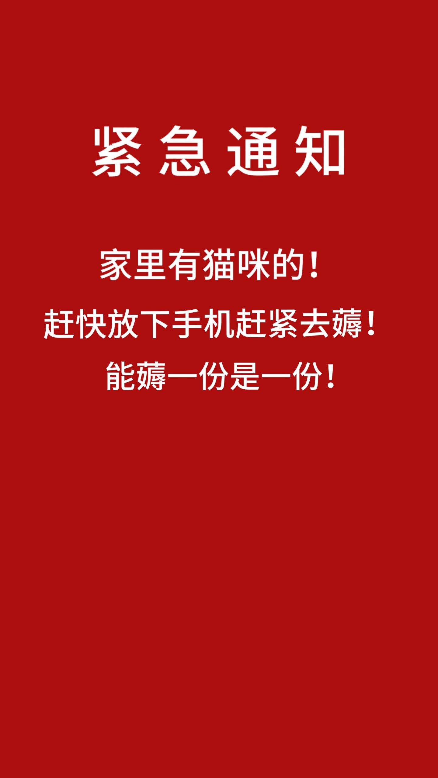 14.9弗列加特套餐!主食冻干加主食罐!平时一个罐头都十几块了!库存不多了,快趁有货赶紧给猫咪安排上!#养猫新手#萌宠好物#弗列加特#猫罐头#养猫人