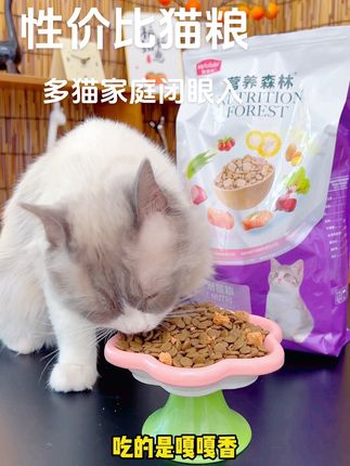 穷养猫❗️我也可以养很好,性价比猫粮推荐#萌宠好物 #萌宠出道计划 #猫粮 #科学养宠攻略 #新手养猫