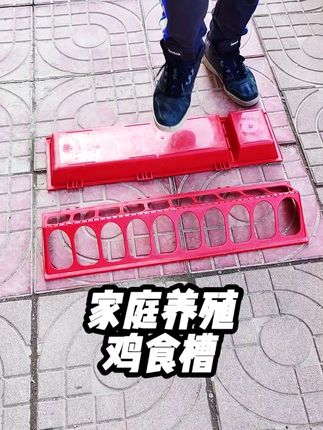 家庭养殖必备鸡食槽,养殖必备#养殖 #养鸡 #家禽养殖