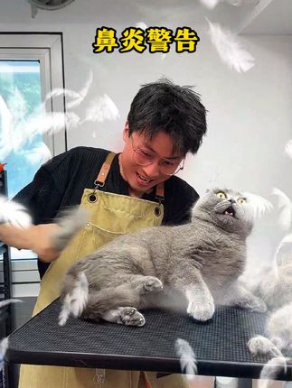 鱼大叔洗猫日常