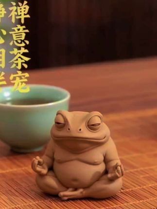 刷到即心安!禅意青蛙的10s慢镜头,治愈系No.1💫#禅意生活 #抖音热门推荐