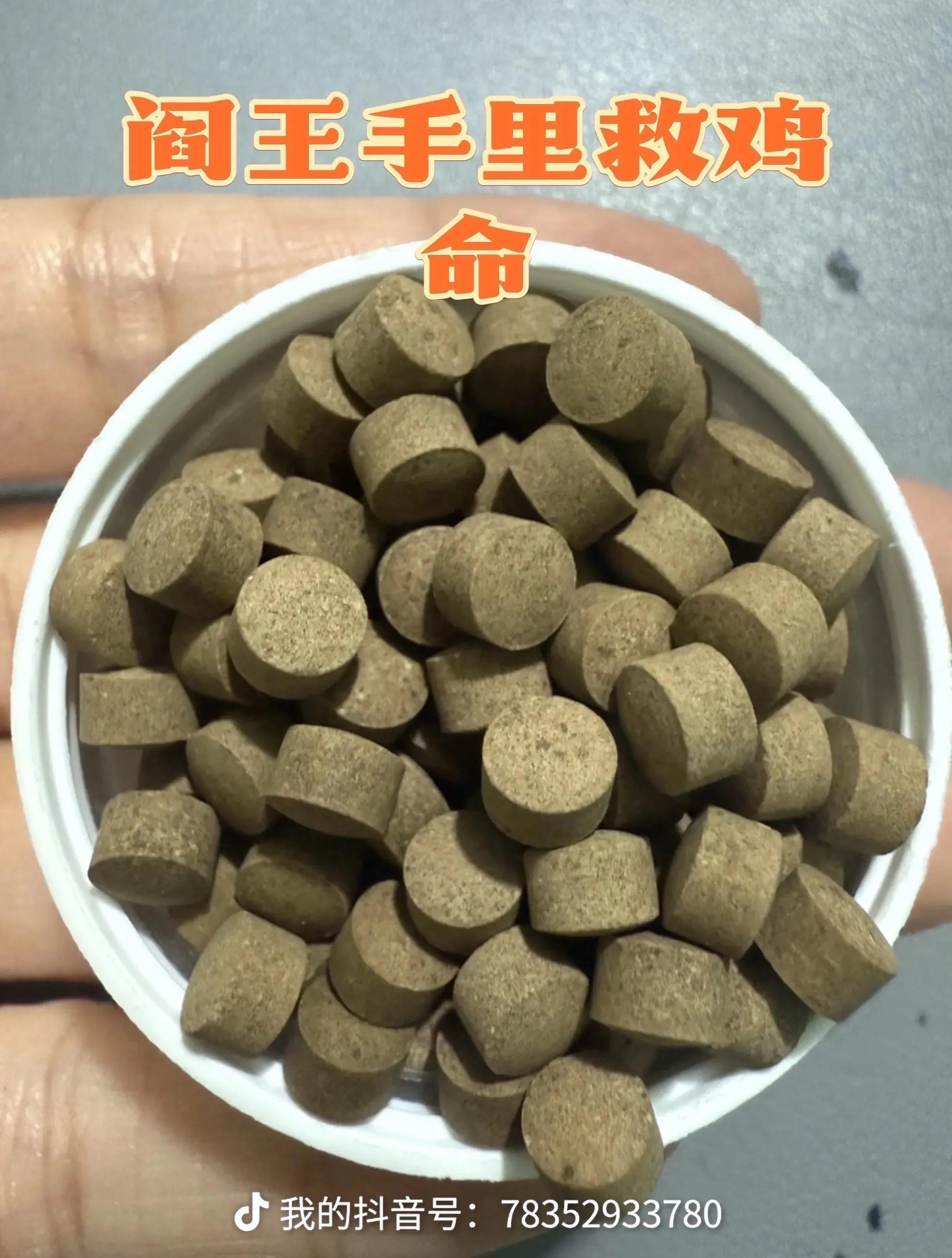 #鸡病防治#禽病防治#鸡感冒#科学养鸡#养鸡人