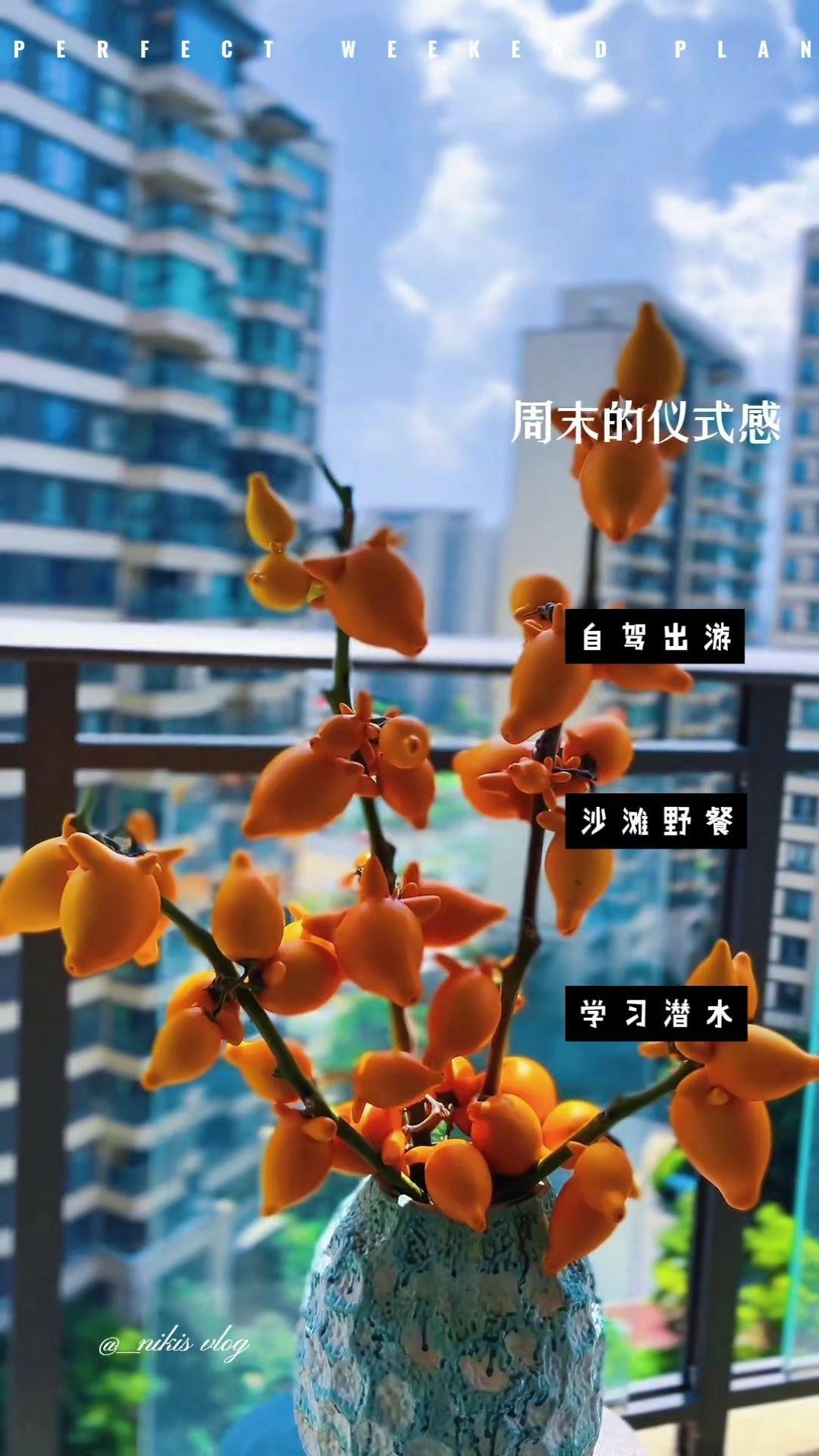 金玉满堂黄金果福禄果室内摆件观赏家用云南鲜花基地 “手持烟火以谋生,且听且忘且随风”#五代果鲜花 #五代果金玉满堂