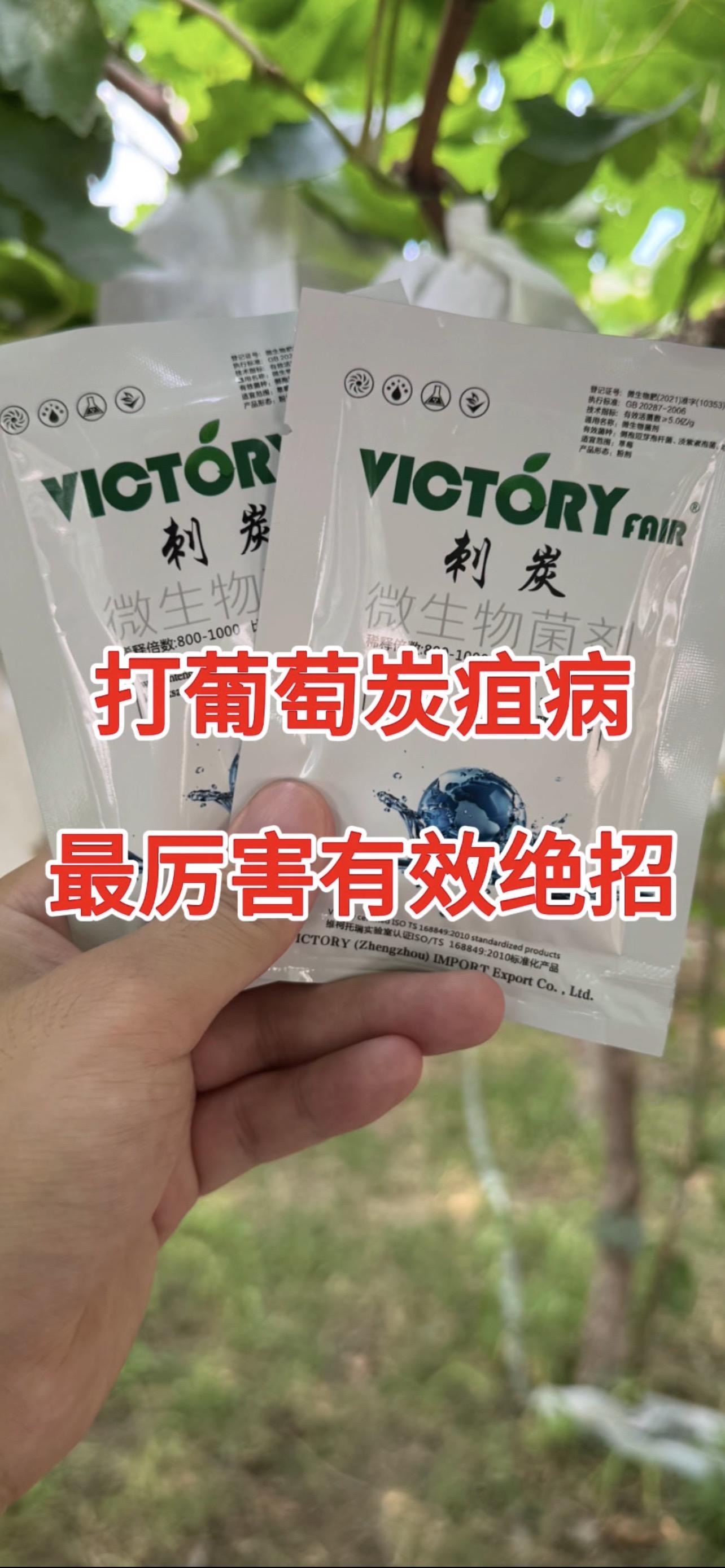打葡萄炭疽病最厉害有效绝招#葡萄炭疽病 #炭疽病防治 #炭疽病 #葡萄病害防治 #葡萄炭疽病防治方法