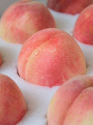 有水蜜桃的夏天,口口香甜,满满的桃子味#桃子#水蜜桃#上热搜 #抖音推广