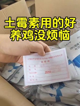 #养殖技术 #养鸡小妙招 #养鸡知识 #养鸡技术