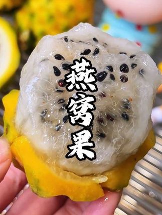 吃一次我就爱上了这个燕窝果,果肉晶莹剔透如燕窝般顺滑,而且富含丰富的膳食纤维,真的好吃又有营养!#燕窝果 #软糯香甜 #新鲜采摘 #应季水果#现摘现发新鲜到家