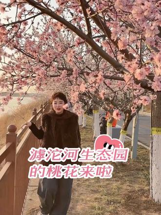 滹沱河艺术生态岛桃花开啦#感受春的气息 #放飞心情拥抱大自然