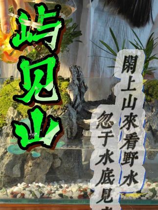 时间,让我们都成为了有故事的人#一花一草一世界#鱼缸造景#绿植景观#手工造景#细水长流