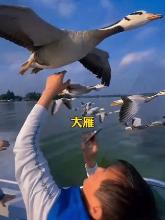 七岁小孩打败北大博士,记忆力恐怖如斯 #天才少年 #学习技巧 #超级记忆术 #家庭教育