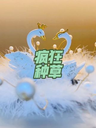 【天鹅之梦】升级款+ 车内饰品摆件车载饰品珍珠羽毛垫加厚款高级感#爱了爱了 #搭配 #装饰品 #高档装饰品摆件 #这也太好看了