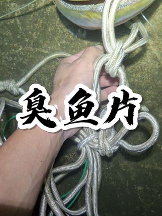 #臭鱼钓鲶鱼 #海竿新手入门教程 #钓鱼技巧 #钓鱼人 #用钓鱼装备打开国庆假期