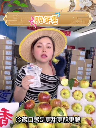 【顺丰包邮】云南蟠枣甄选新鲜甜脆冬枣皮薄肉厚香甜果园直发1斤起#冬枣 #甜脆 #好好吃 #强烈推荐 #水果