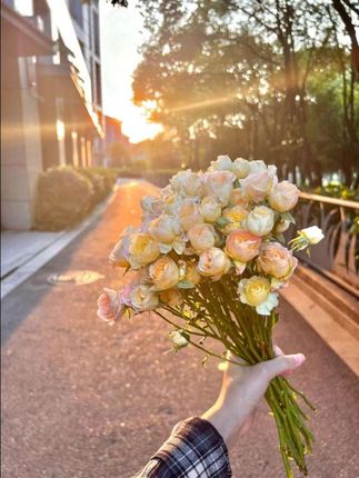 来日并不方长,有什么心愿想做就做 #写作素材 #育儿 #教育 #诗词 #每天学习一点点