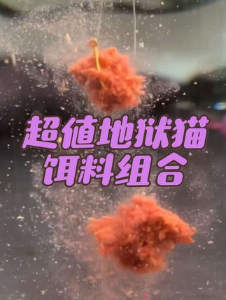 还没用过这款钓鱼王饵料的钓友,听我的,一定要试一下这个超值地狱猫5件套,不管南北水域,湖库野钓都通用!上鱼特别快#钓鱼王地狱猫 #钓鱼饵料 #饵料窝料 #饵料搭配 #饵料