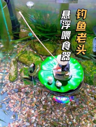 鱼缸里放个悬浮钓鱼老头喂食器真的太好玩了,从此养鱼多了一份乐趣#养鱼日记 #钓鱼老头 #悬浮喂食器 #鱼缸摆件