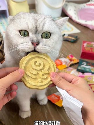 大福饼冻干又来啦中秋也给猫猫吃大福饼冻干吧#宠物零食 #猫零食 #新手养猫 #萌宠好物#宽福