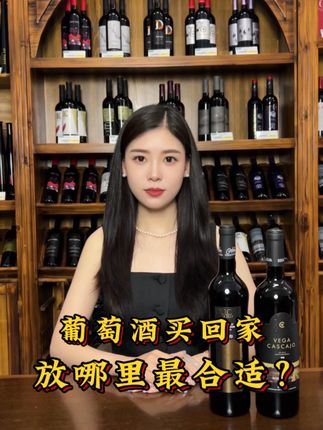葡萄酒买回家放哪里最合适?#葡萄酒知识 #进口红酒 #都特葡萄酒博物馆 #西班牙