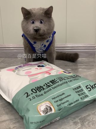 #猫砂推荐#猫砂