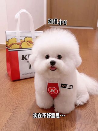 小花花的每一天