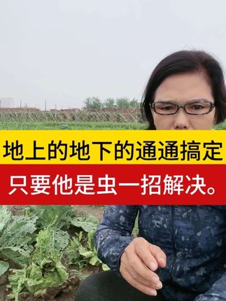 地上地下害虫都能用,瓜果蔬菜,蚊虫蚂蚁庭院都能使用#高效氯氟氰菊酯 #功夫菊酯 #杀虫剂