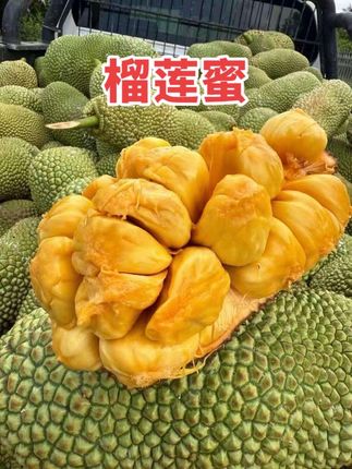 榴莲蜜果肉饱满、入口细腻、香甜软糯、绵软美味,每一颗果肉都甜到心里!#榴莲蜜 #新鲜应季水果 #吃货 #好吃到停不下来