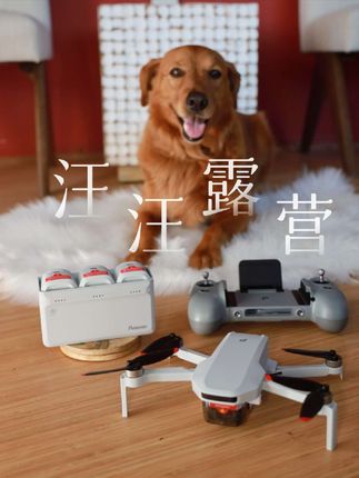小狗也要奔向自由的风 带着狗狗露营,用博坦ATOM 2记录属于我们的小确幸~ - 拍摄设备:Potensic ATOM 2 内容来自:chance the mini golden #博坦无人机 #博坦飞一夏 #航拍博物馆 #旅行vlog #宠物成精啦 @博坦官方旗舰店