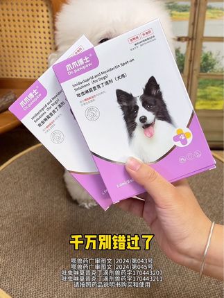 要记得定期给狗狗驱虫#萌宠 #比熊 #宠物驱虫 #狗狗驱虫 #养狗经验分享