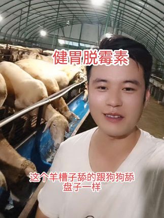 健胃脱霉素,健胃脱霉,双效合一。#牛羊养殖 #三农 #养殖户 #三农养殖 #养羊人