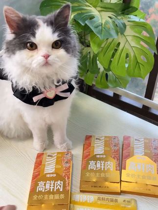 相当于付个邮费就能让自家小猫品尝到品质这么好的猫条,那我直接闭眼冲!#喵铮铮高鲜肉猫条 #喵铮铮猫条 #超便宜超划算 #萌宠好物