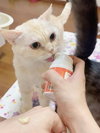 宠物乳化鱼油,买二送一#萌宠