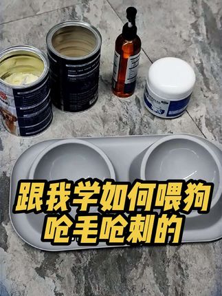 如何喂狗才能呛毛呛刺,别干这些事#科学养宠攻略 #宠物鱼油 #宠物鱼油推荐 #养宠进阶指南 #铲屎官日记