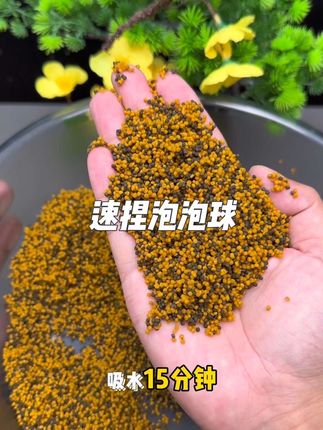 #鲤鱼饵料 #泡泡球 #泡泡球开饵方法 #泡泡球鱼饵 #回锅鱼饵料