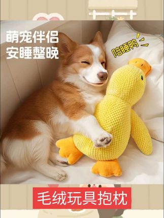 #萌宠推荐官 【新店福利】陪伴鸭毛绒陪睡小黄鸭解闷耐咬小中型狗狗狗窝玩具#萌宠出道计划 #宠物衣服 #萌宠 #狗狗