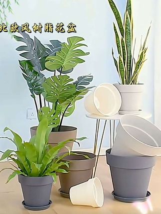 #花盆 #树脂花盆#北欧风#塑料花盆#爱生活爱养花