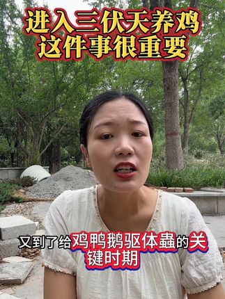 进入三伏天养鸡,这件事很重要 #三农 #养殖小妙招 #养殖鸡鸭鹅#农村养鸡#鸡病防治