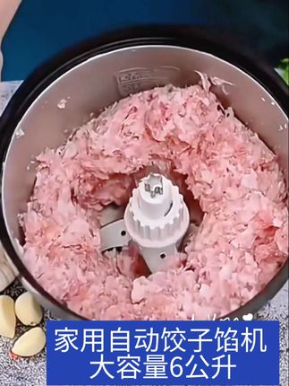 家用自动饺子馅机大容量6公升,电机是1800瓦动力大,厂家搞活动价格优惠需要的点击小黄车下单