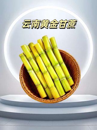 云南黄金甘蔗上市了,9.9元发5斤中段的,皮薄汁水多#甘蔗 #云南黄金甘蔗 #脆甜多汁