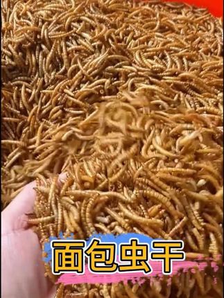 黄金今日金价 #财经 #巴菲特 #股市 #黄金